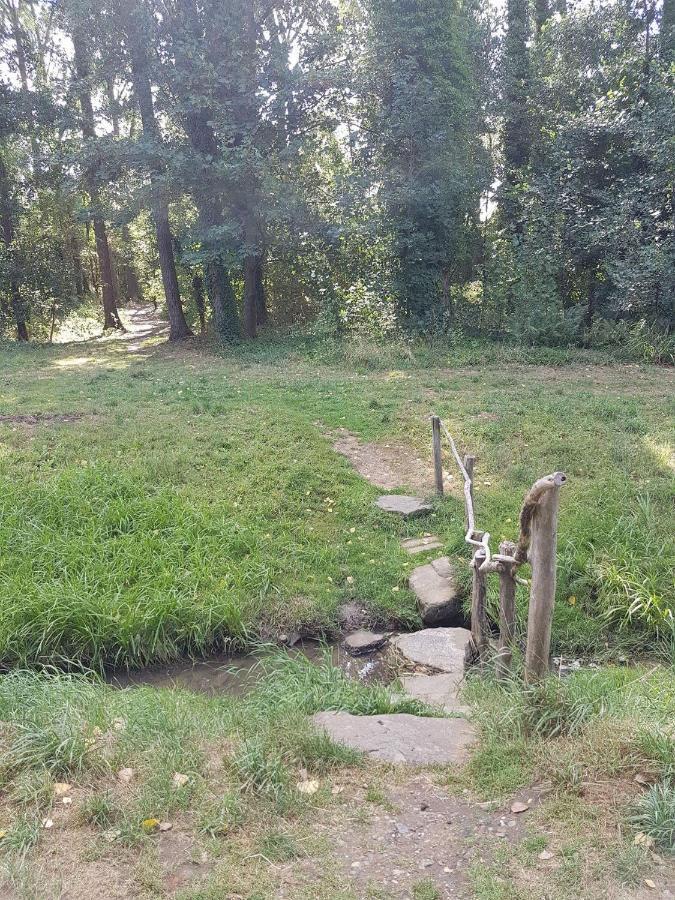 Bnbmarlies Oorsbeek Exteriör bild